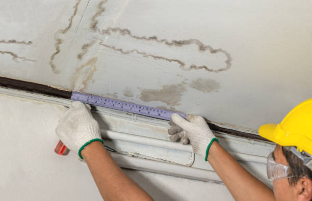 Reliable Mold Remediation contractor in Kingston, MA by Local Water Damage Repair
